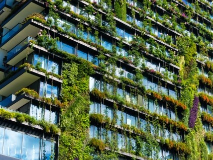 abstract building covered in plants